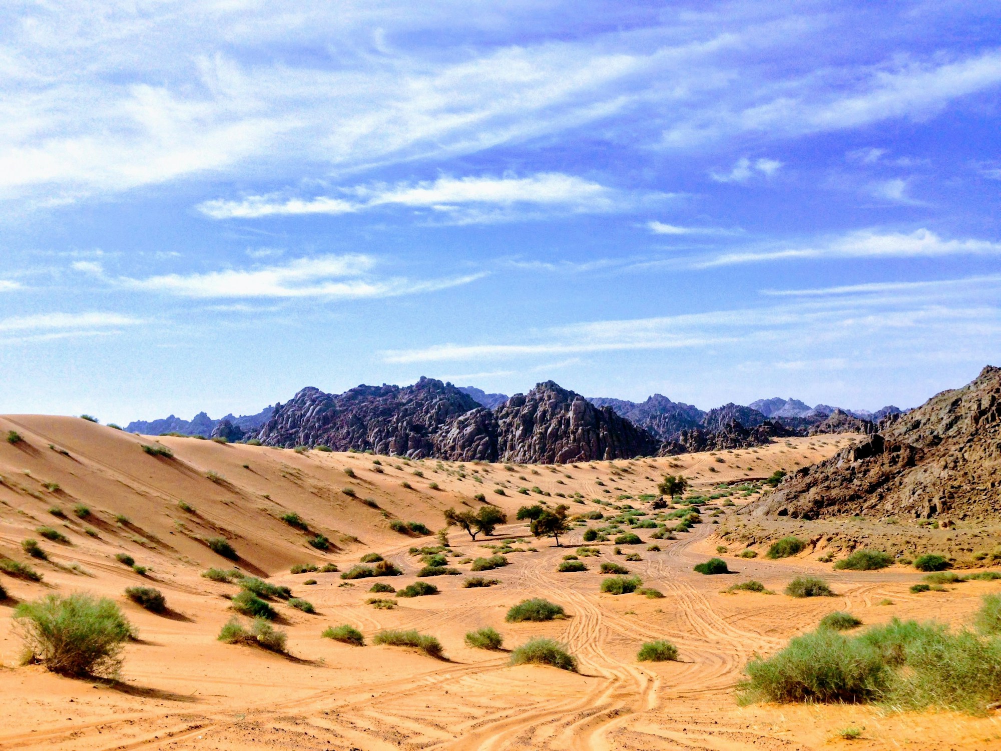 Dunes opening toward a distant mountain range